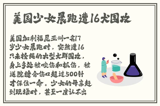 西方447大但人文艺术